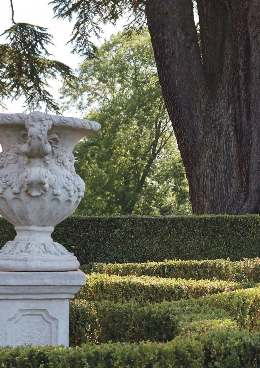 Unveiled Preview Pages