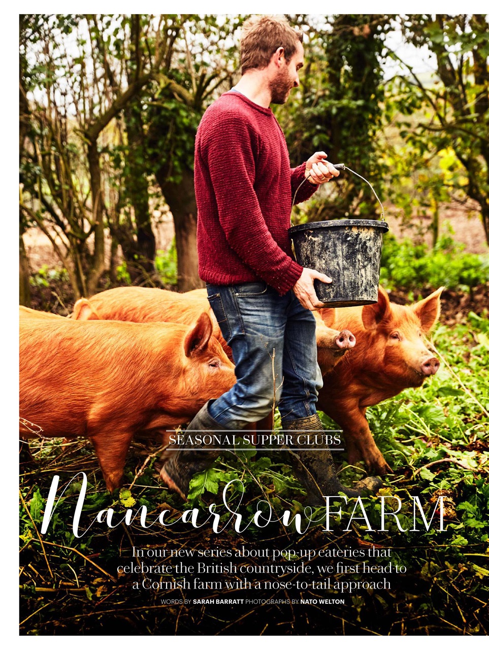 Country Living Preview Pages