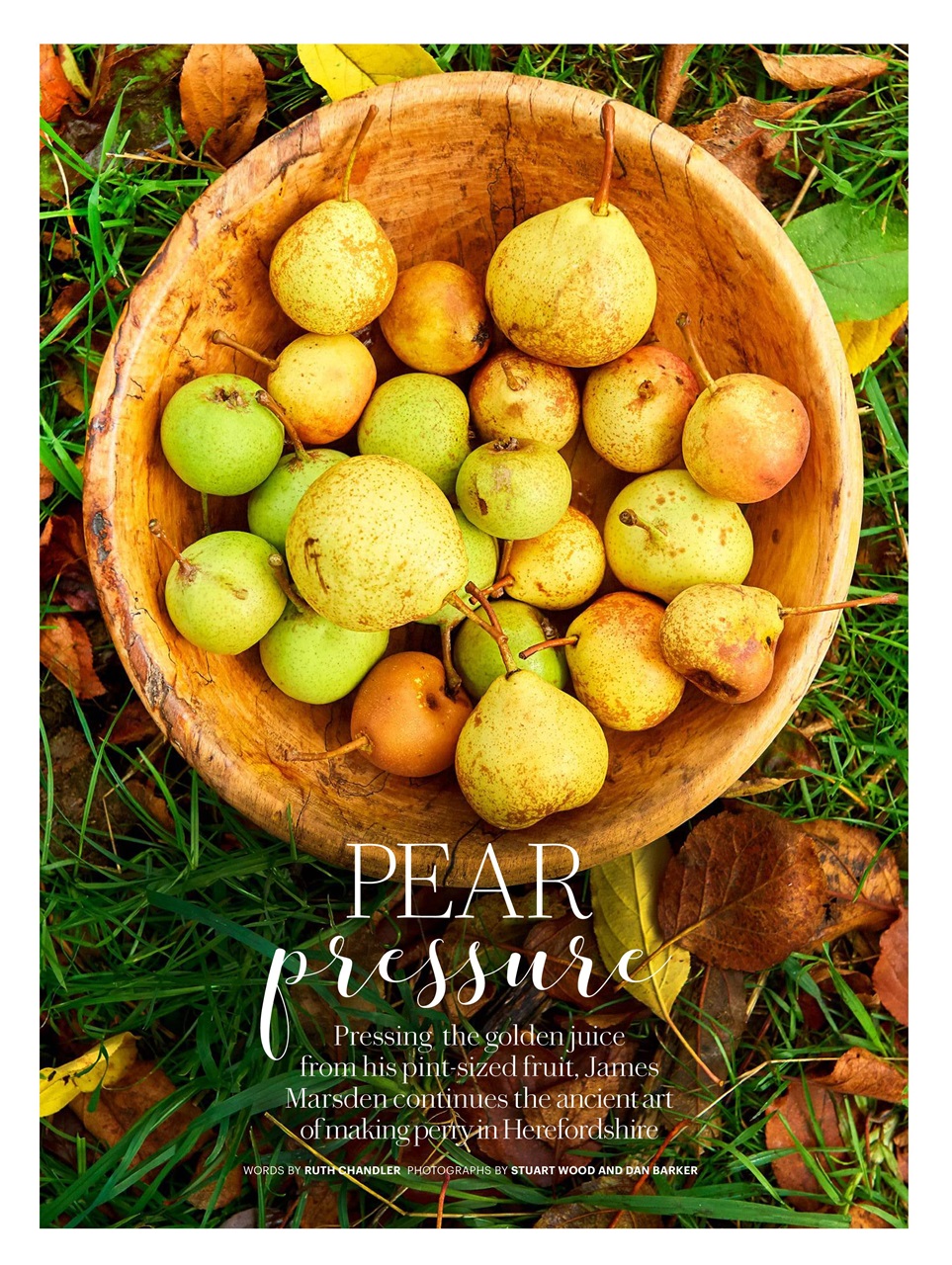 Country Living Preview Pages