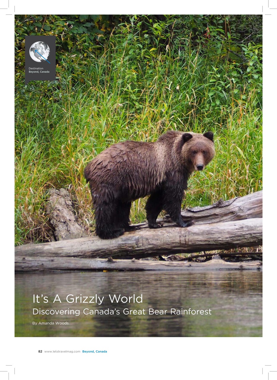 Let’s Travel Preview Pages
