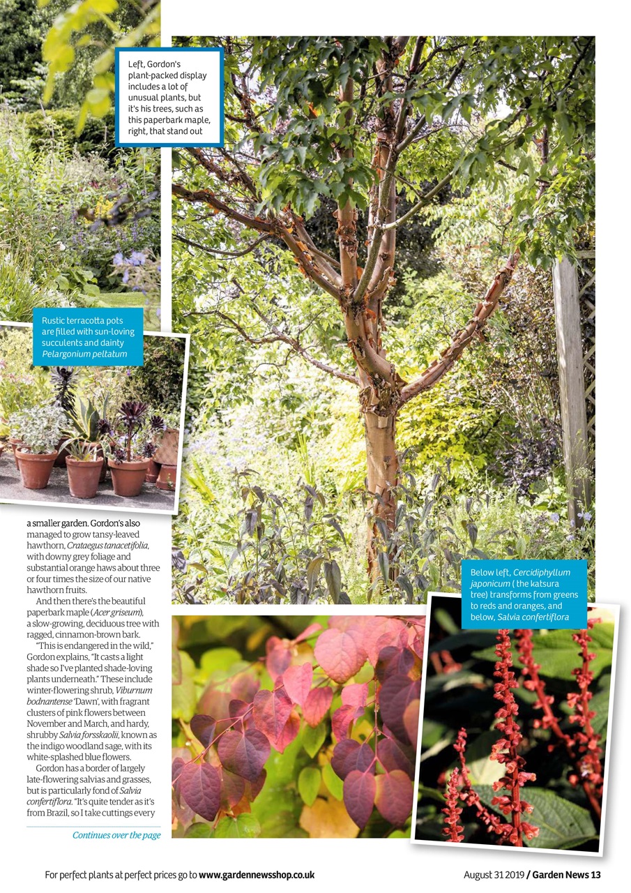 Garden News Preview Pages