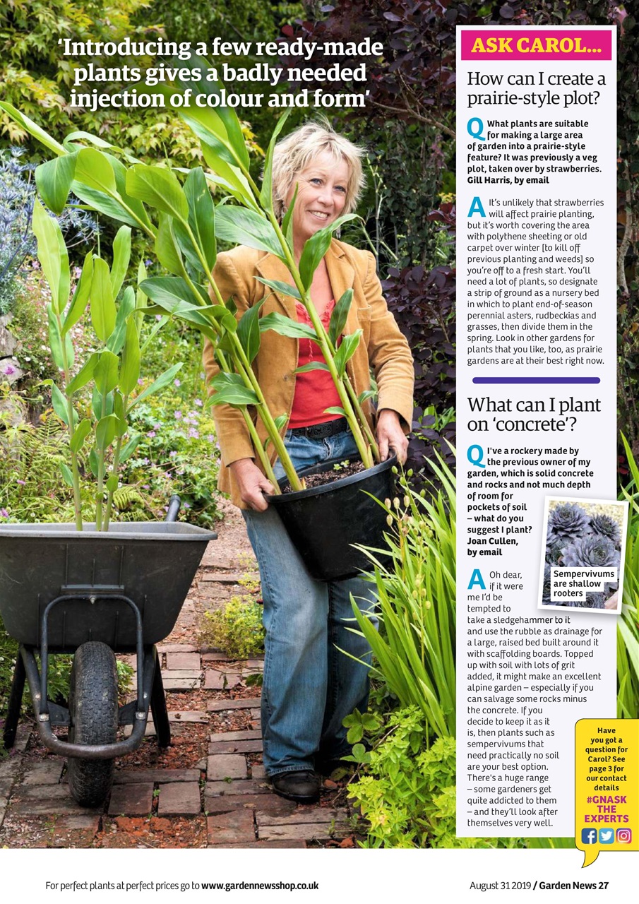 Garden News Preview Pages