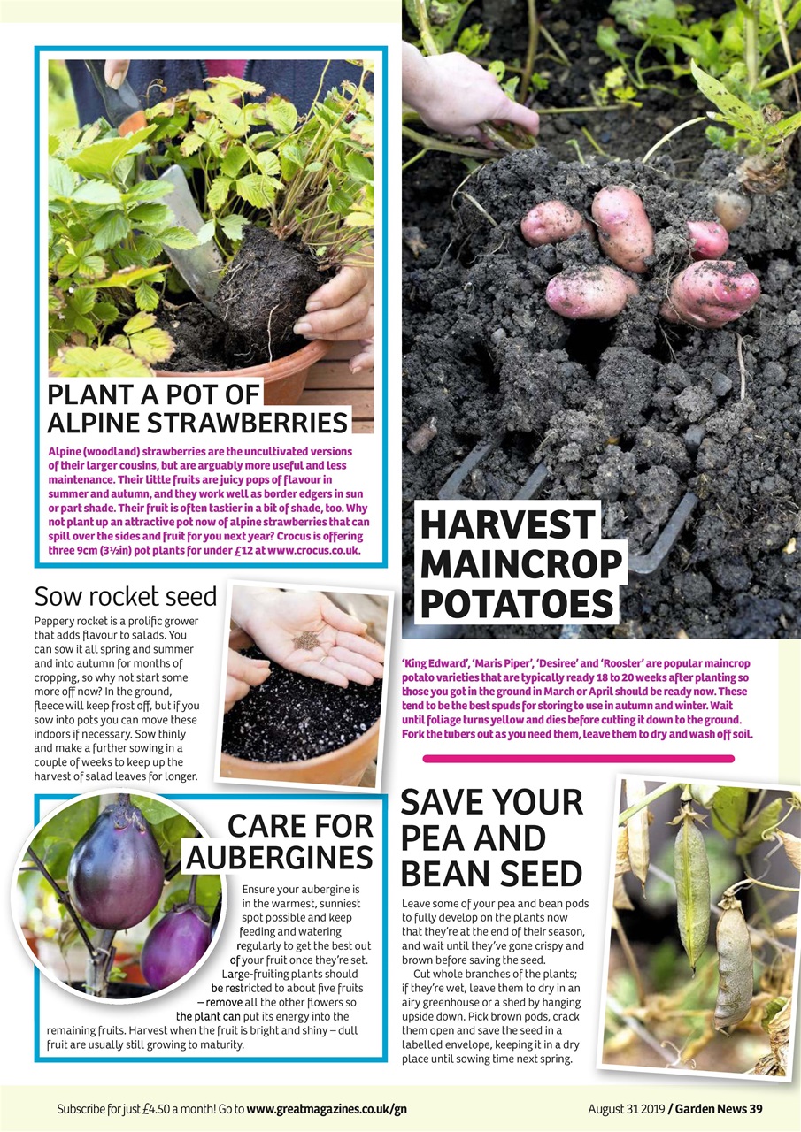Garden News Preview Pages