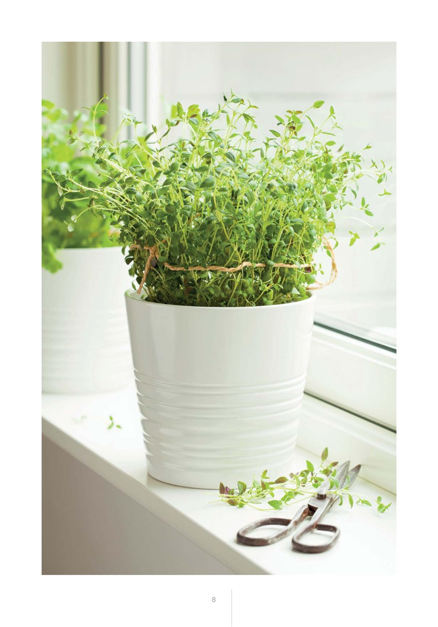 My Herbs Magazine Preview Pages