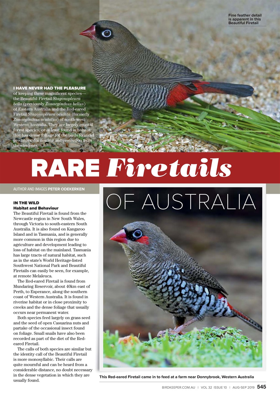 Australian Birdkeeper Magazine Preview Pages