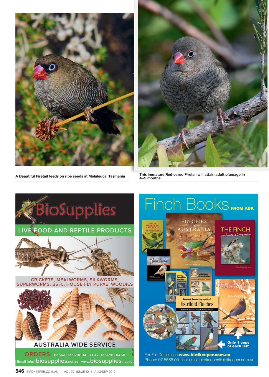 Australian Birdkeeper Magazine Preview Pages