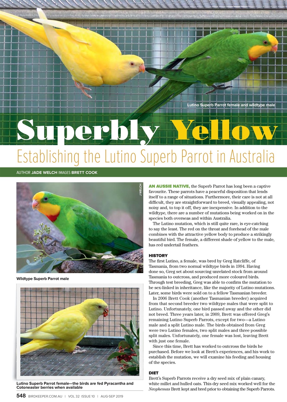 Australian Birdkeeper Magazine Preview Pages