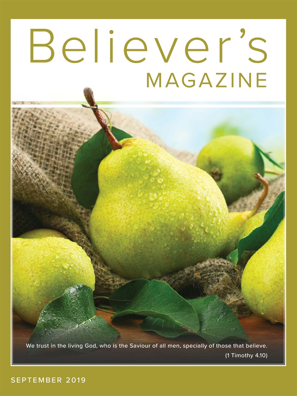 Believer Magazine Preview Pages