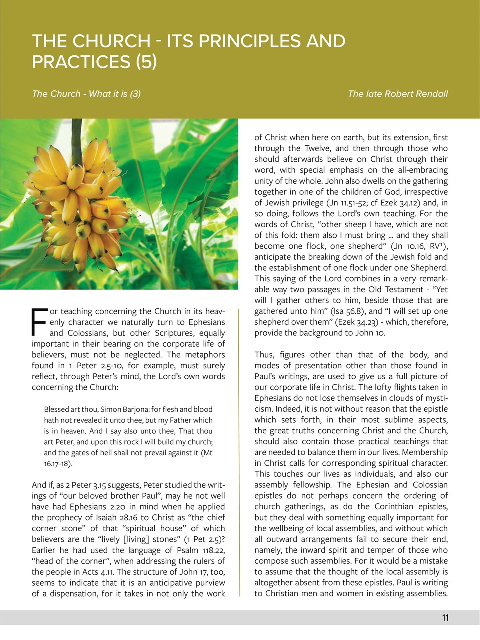 Believer Magazine Preview Pages