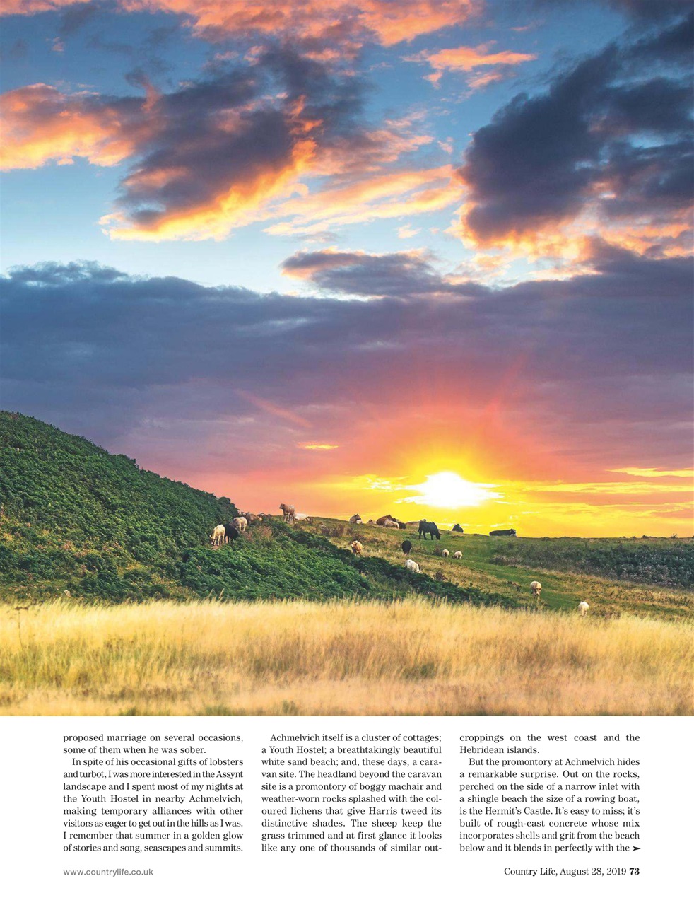 Country Life Preview Pages