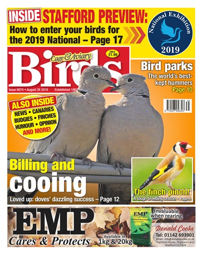 Cage & Aviary Birds issue 