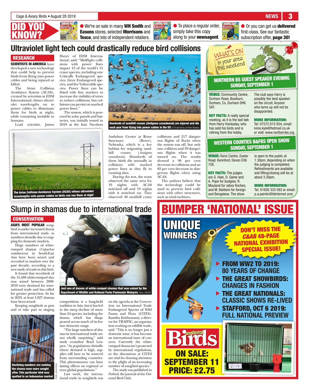 Cage & Aviary Birds Preview Pages