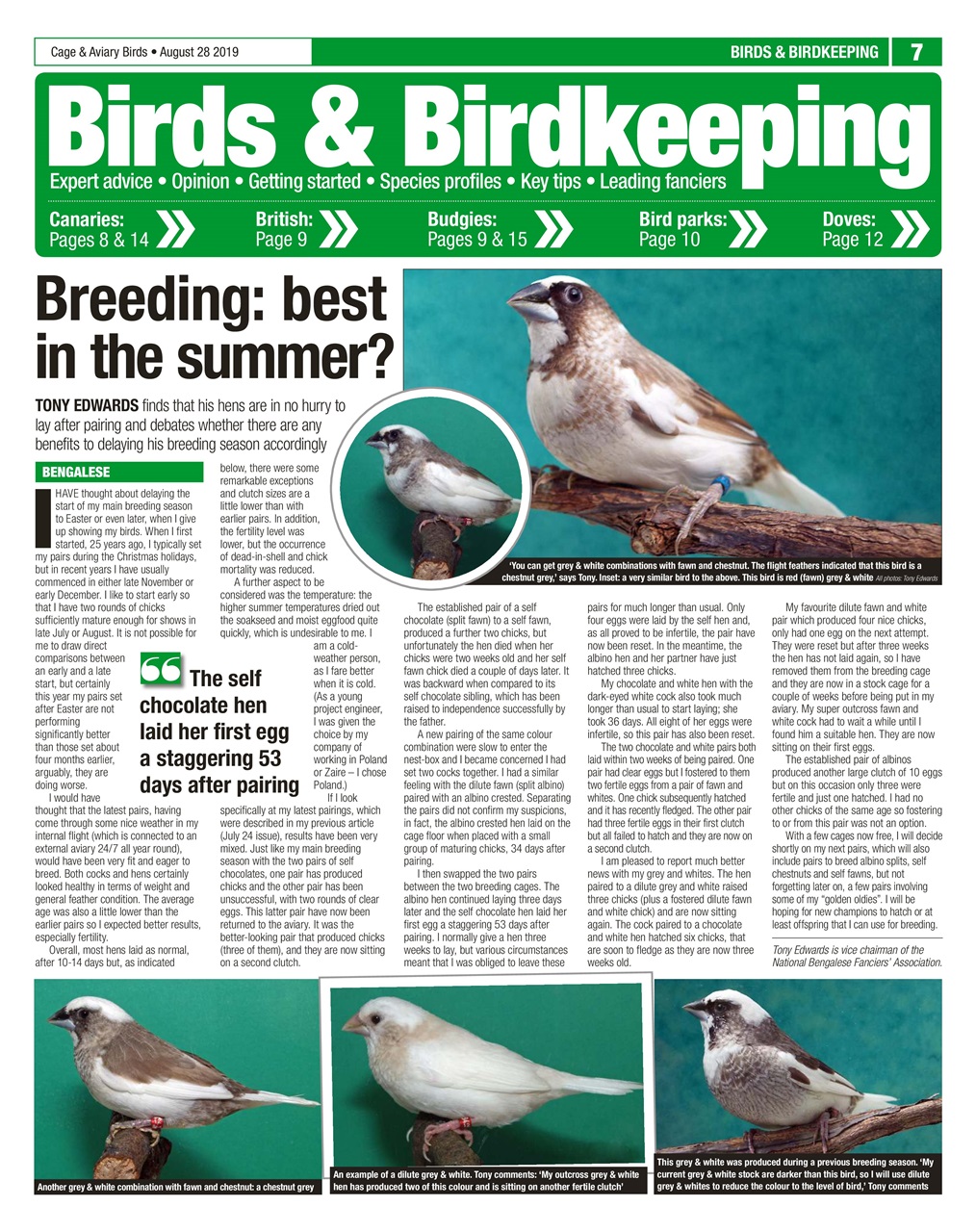 Cage & Aviary Birds Preview Pages