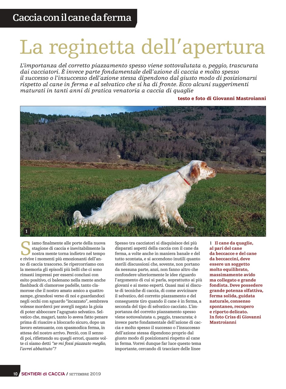 SENTIERI DI CACCIA Preview Pages