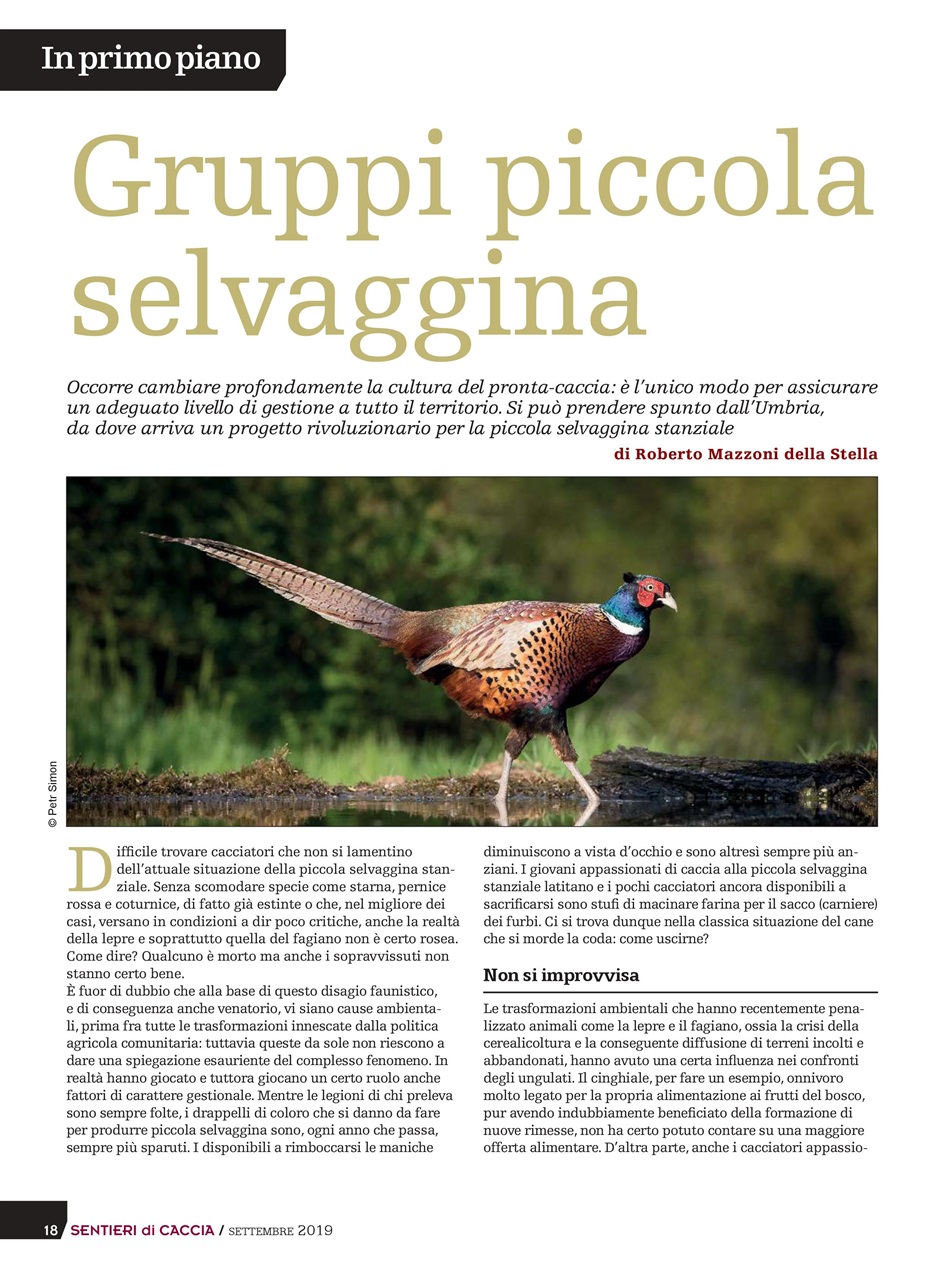 SENTIERI DI CACCIA Preview Pages