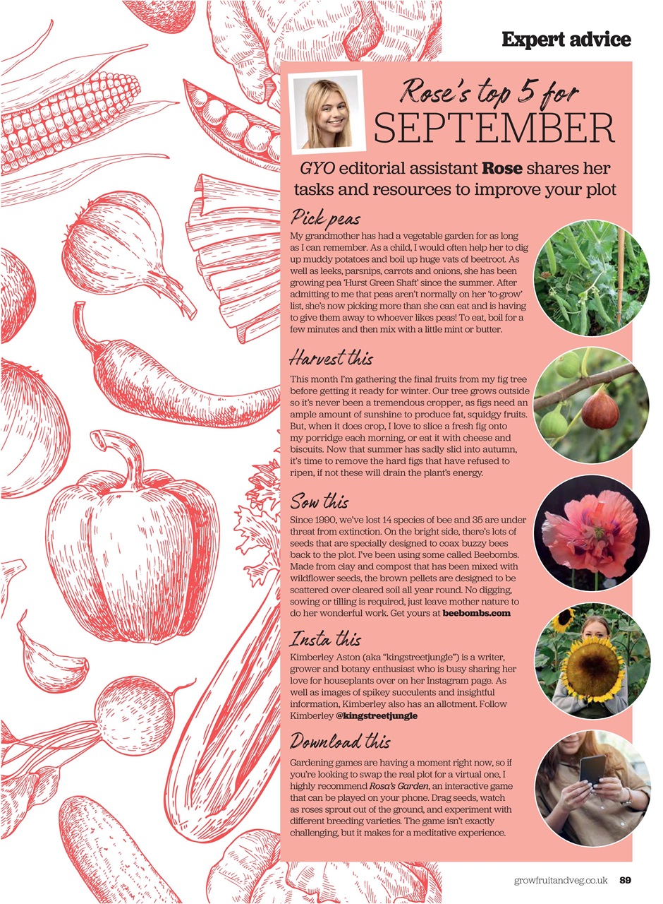 Grow Your Own Preview Pages