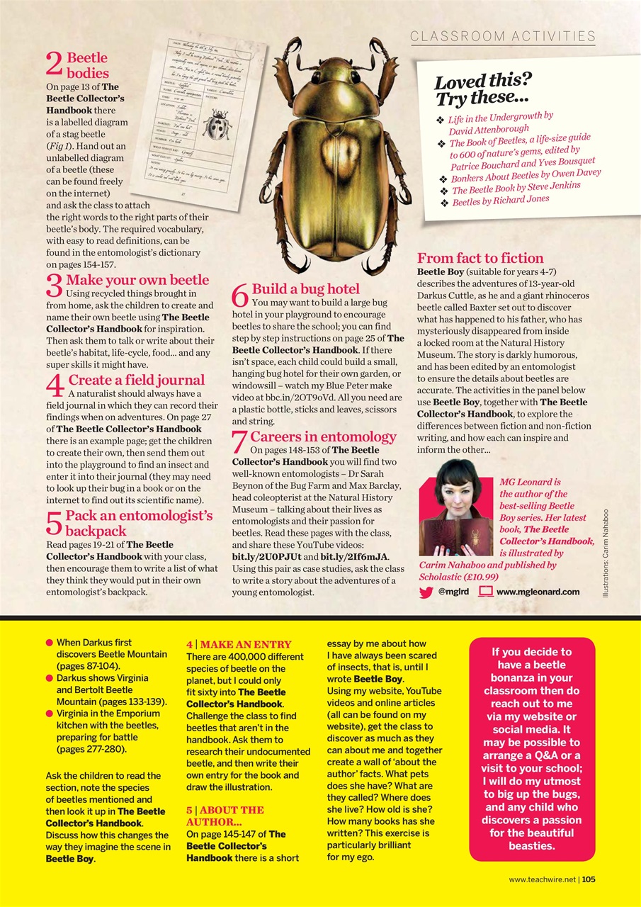 Teach Primary Preview Pages