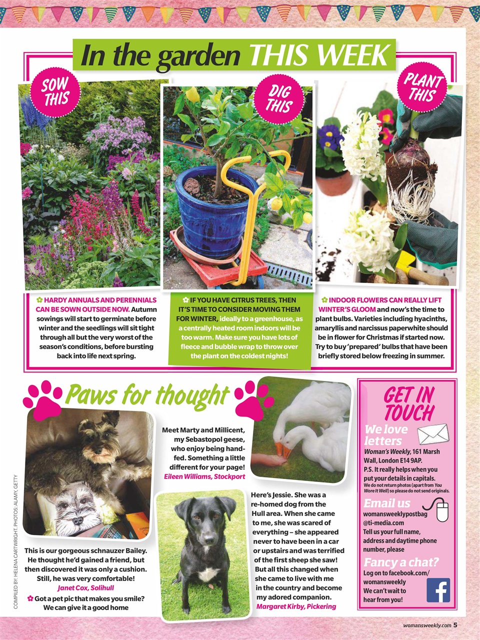 Woman's Weekly Preview Pages
