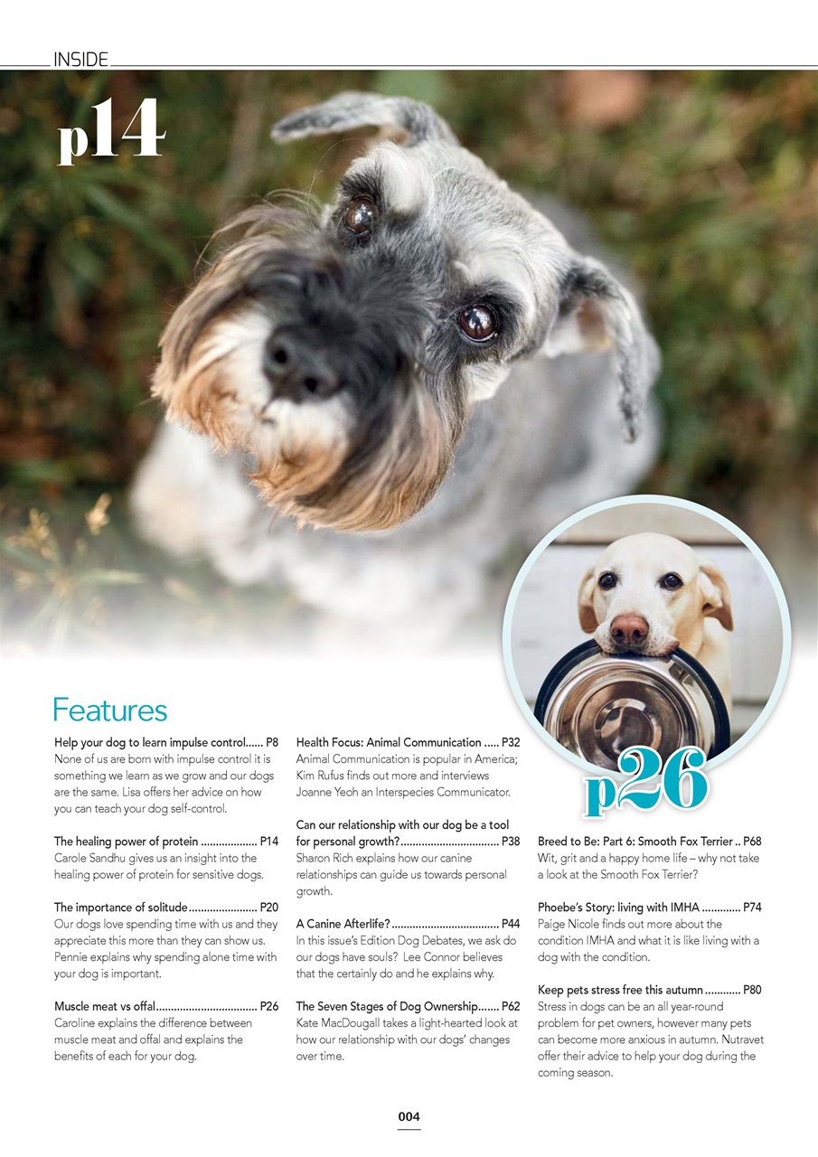 Edition Dog Preview Pages