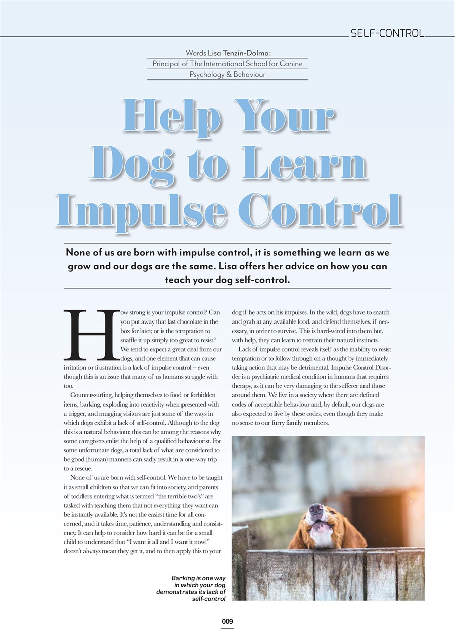 Edition Dog Preview Pages