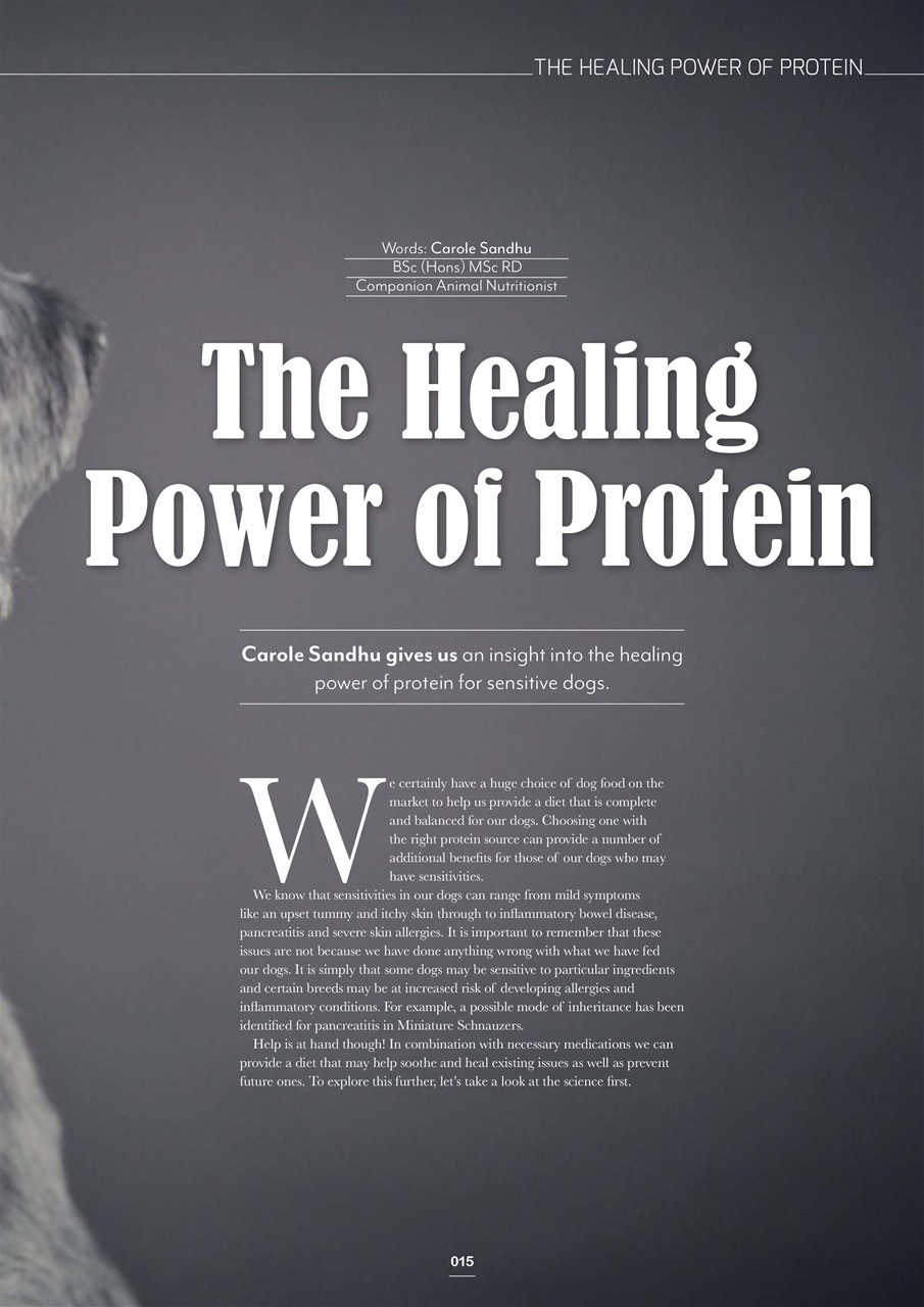 Edition Dog Preview Pages