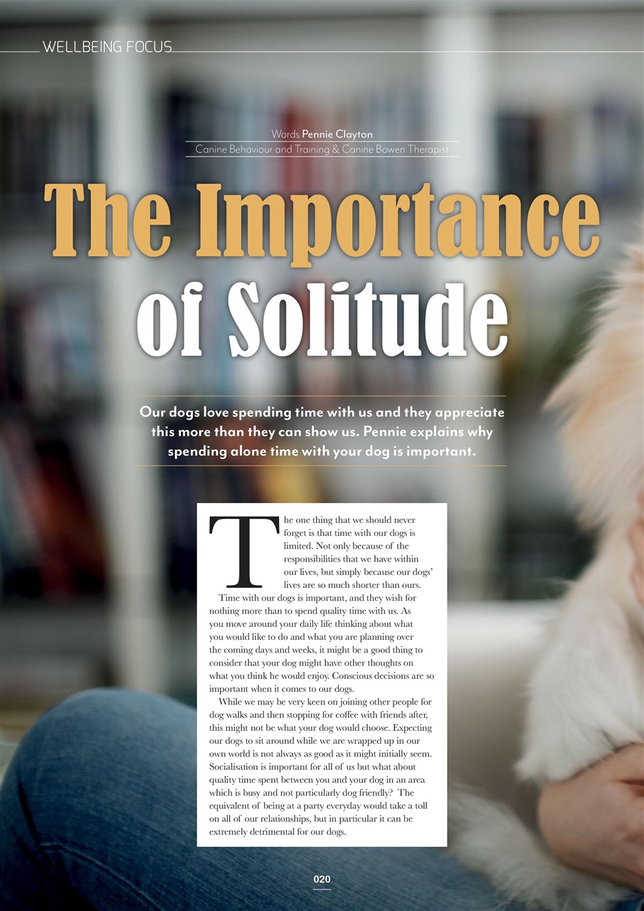 Edition Dog Preview Pages