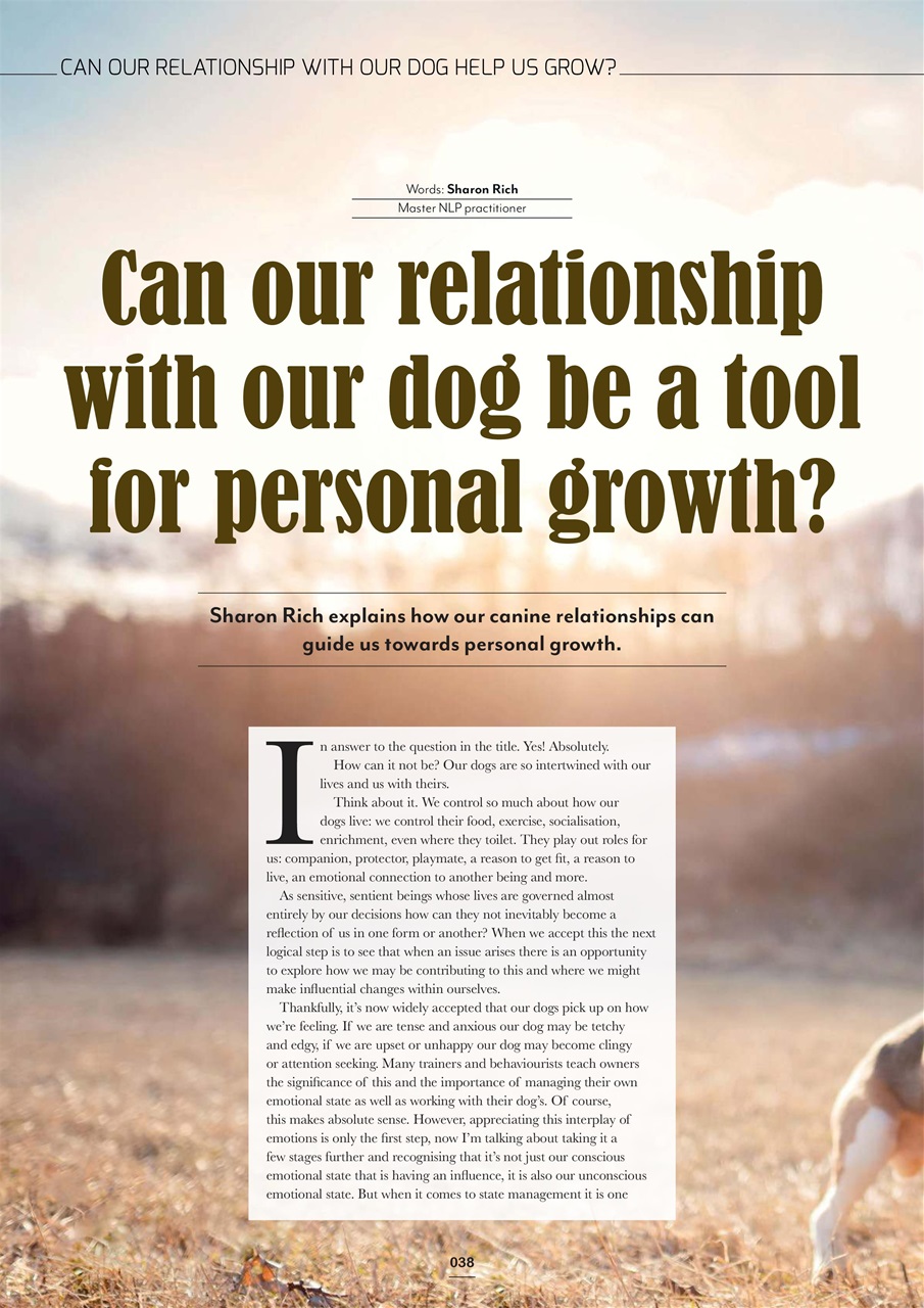 Edition Dog Preview Pages