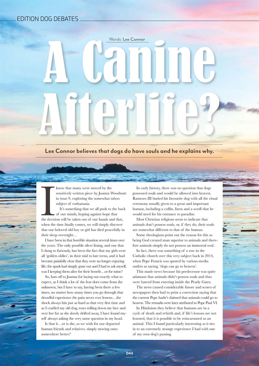 Edition Dog Preview Pages