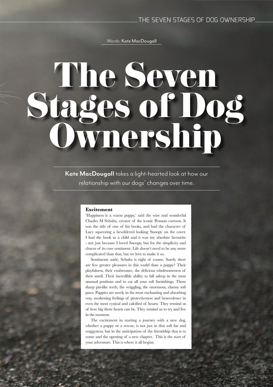 Edition Dog Preview Pages