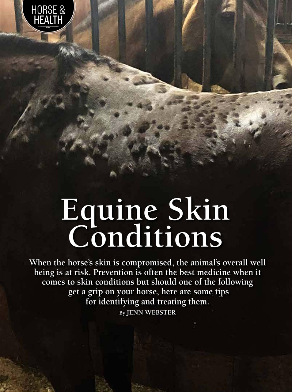 Western Horse Review Preview Pages