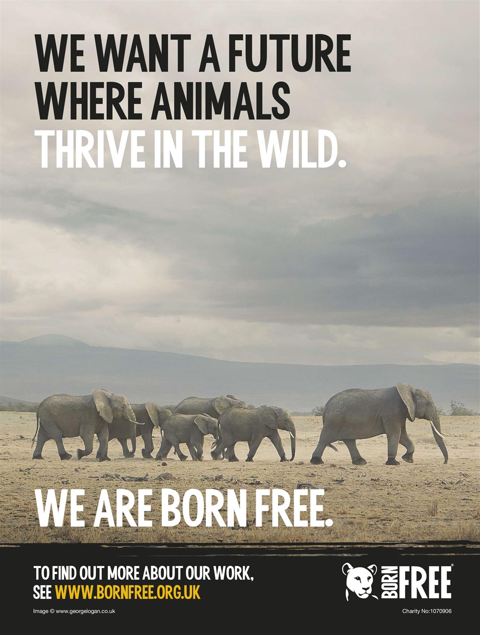 BBC Wildlife Magazine Preview Pages