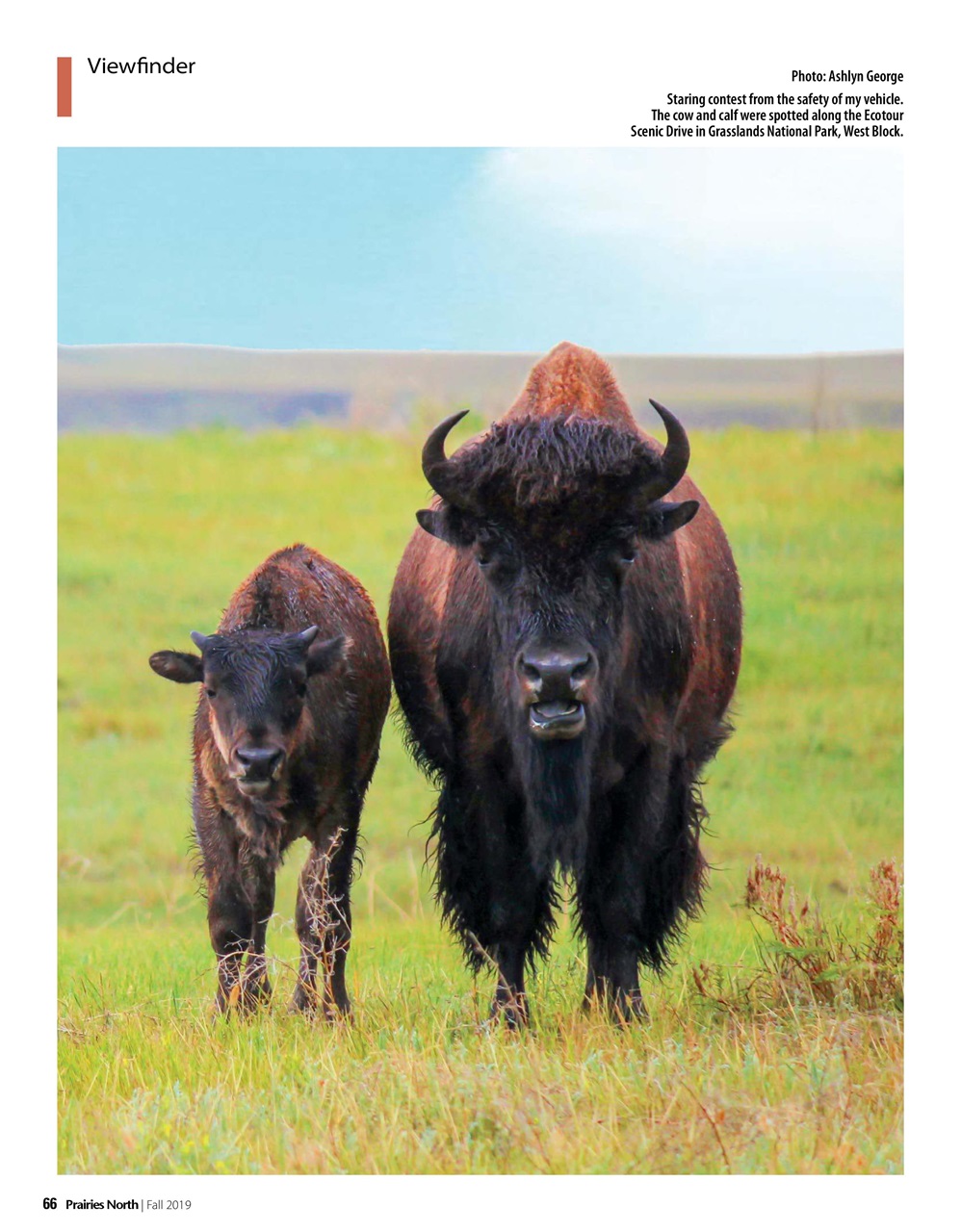 Prairies North Magazine Preview Pages