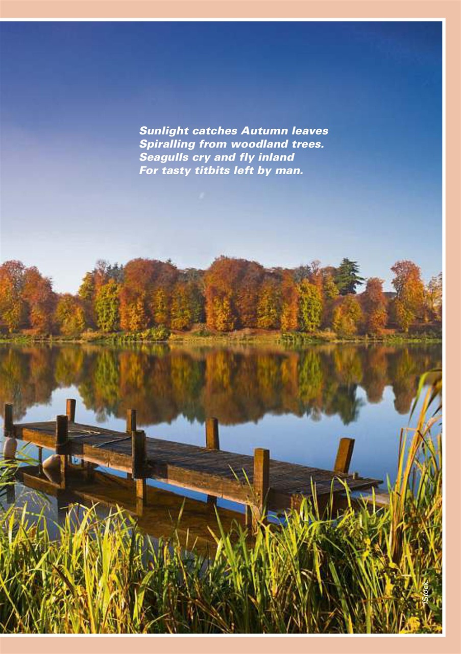 Evergreen Preview Pages