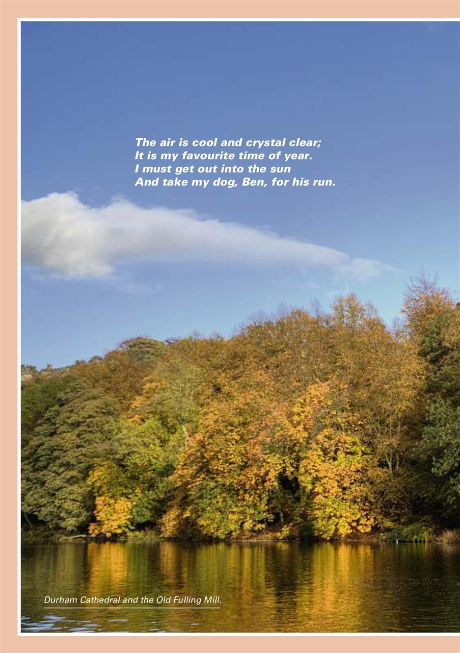 Evergreen Preview Pages