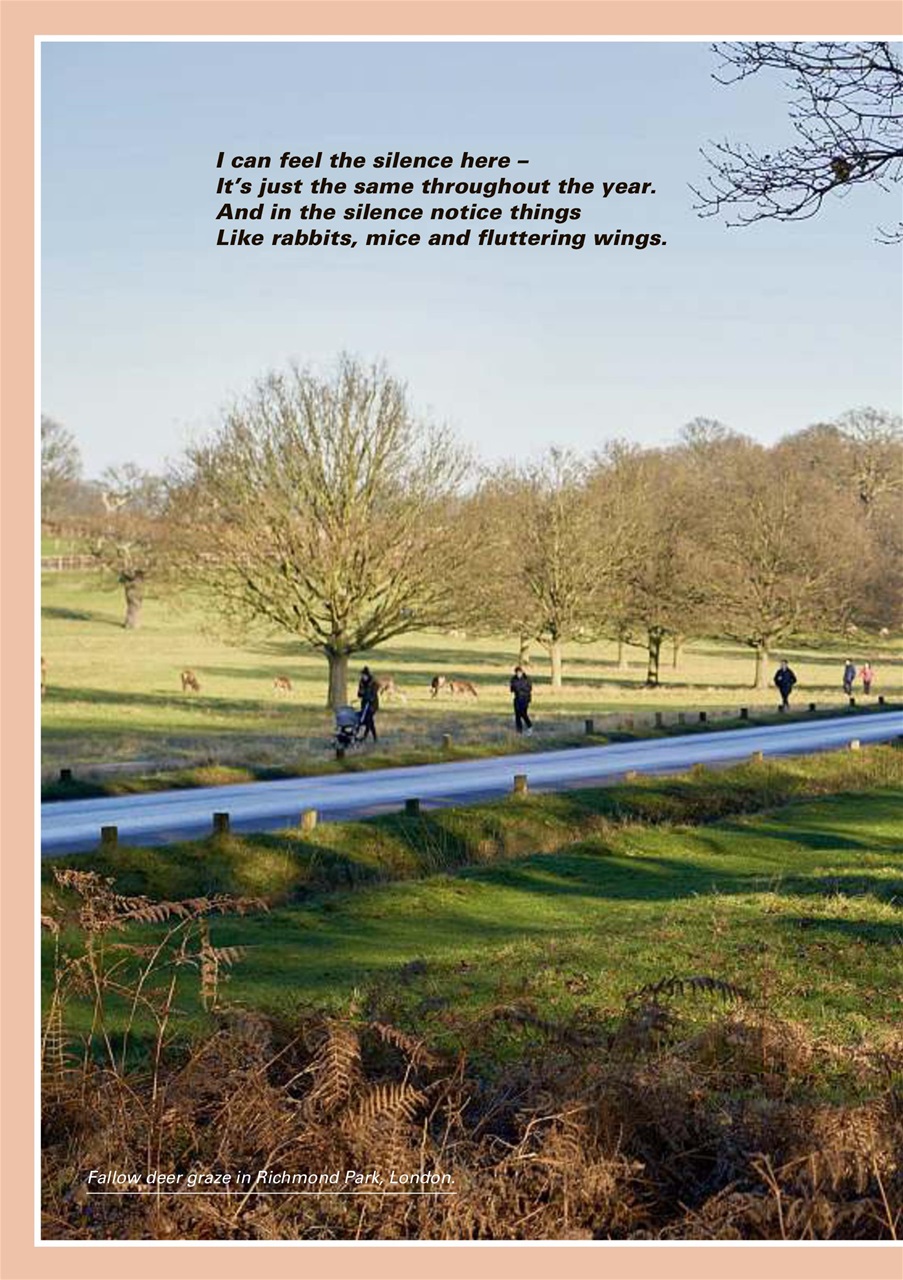 Evergreen Preview Pages