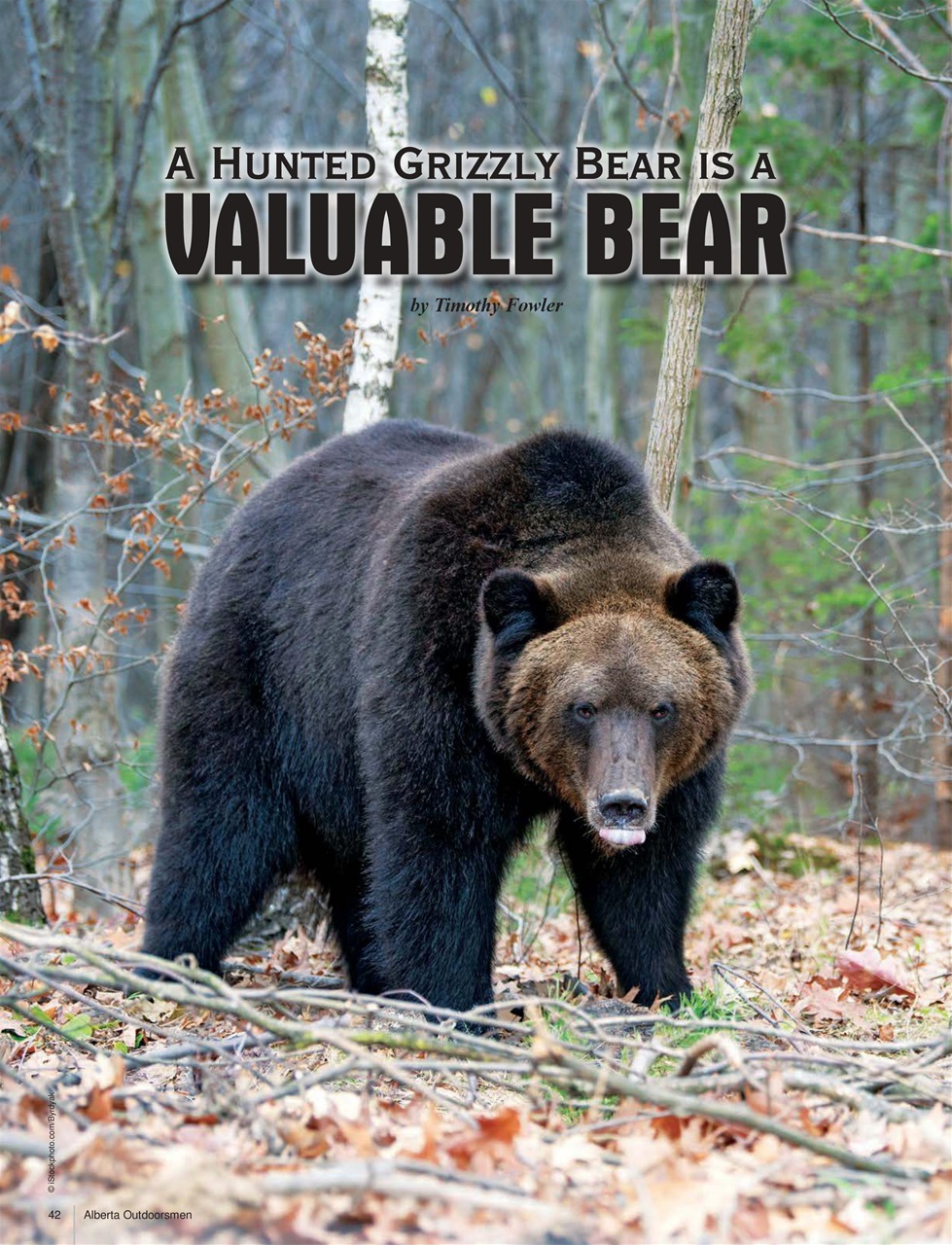 Alberta Outdoors Preview Pages