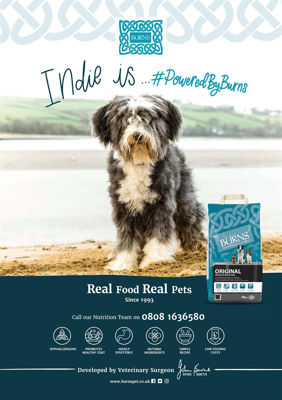 Your Dog Preview Pages