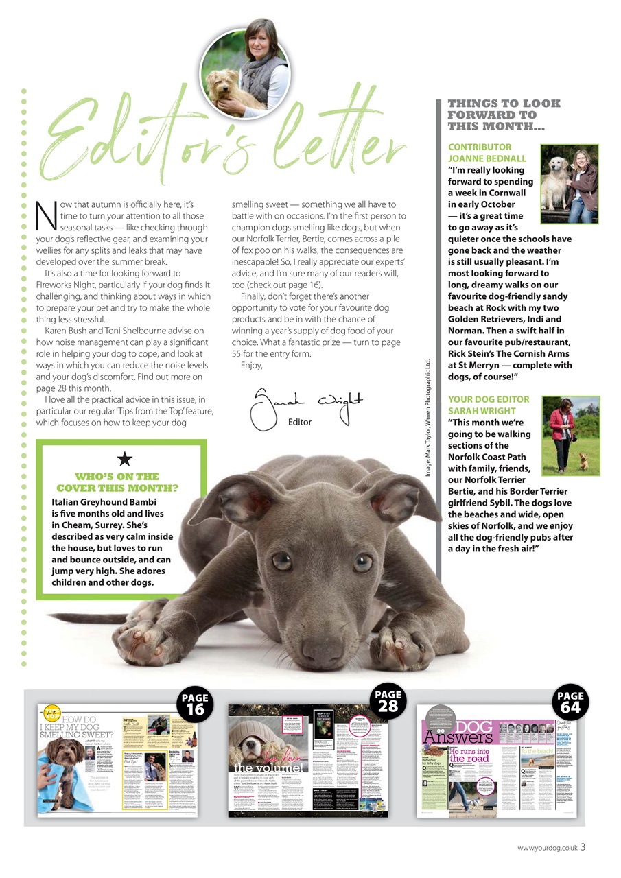 Your Dog Preview Pages