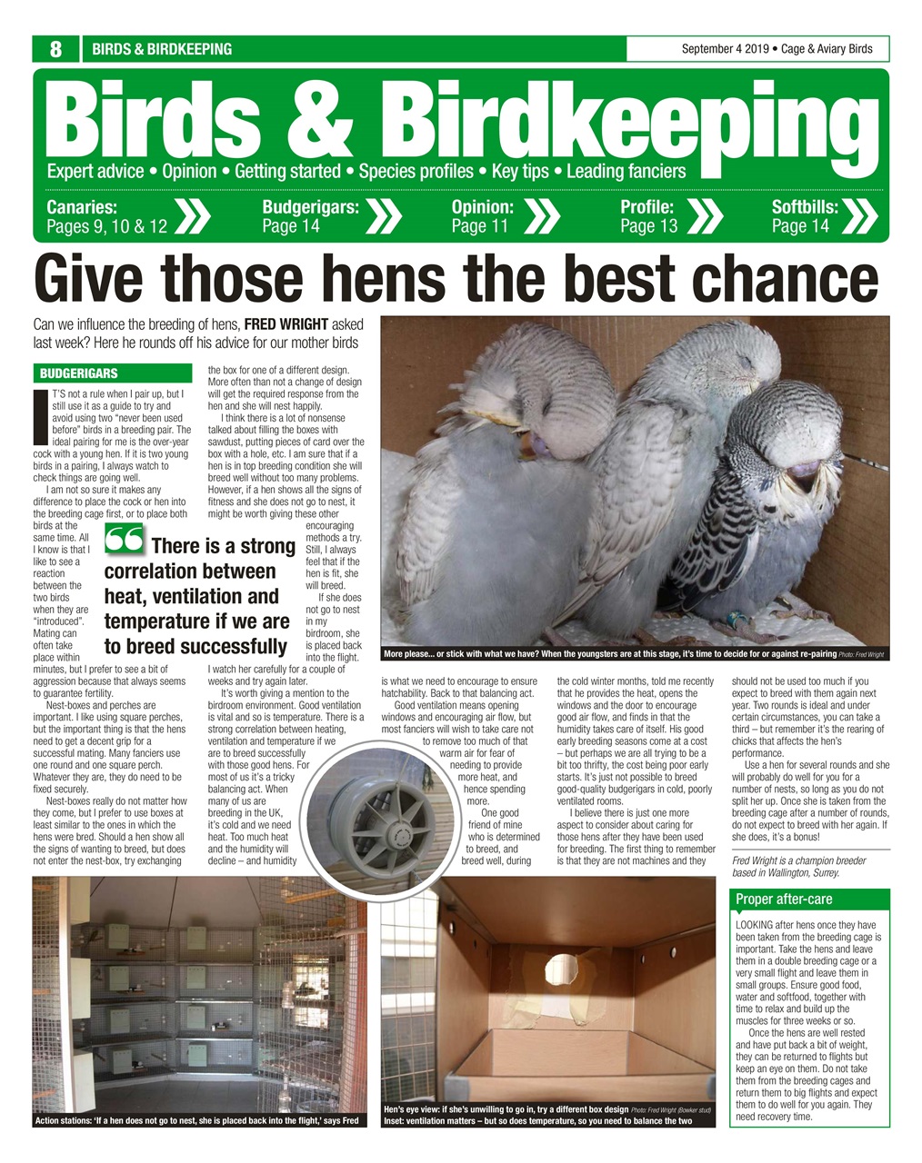 Cage & Aviary Birds Preview Pages