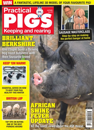 Practical Pigs issue 