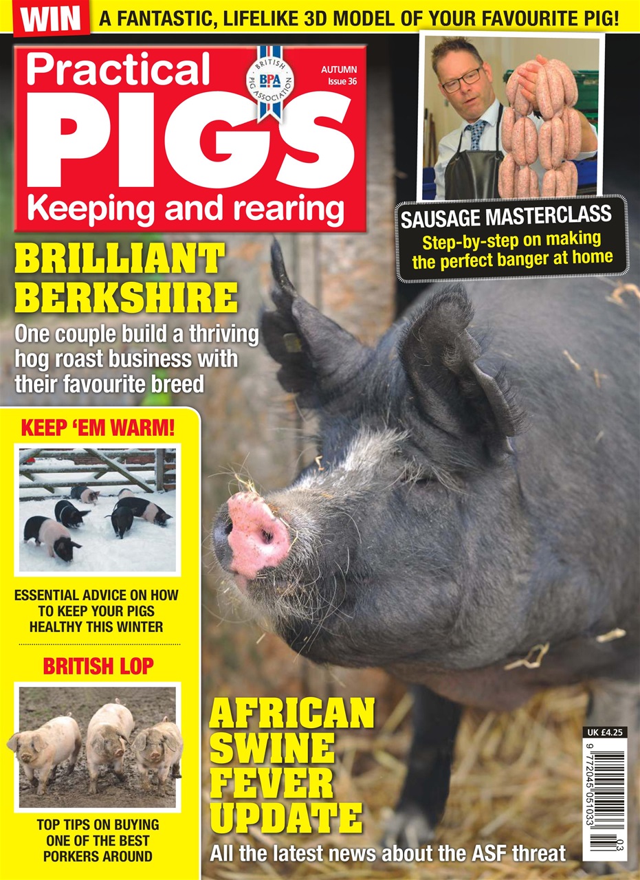 Practical Pigs Preview Pages