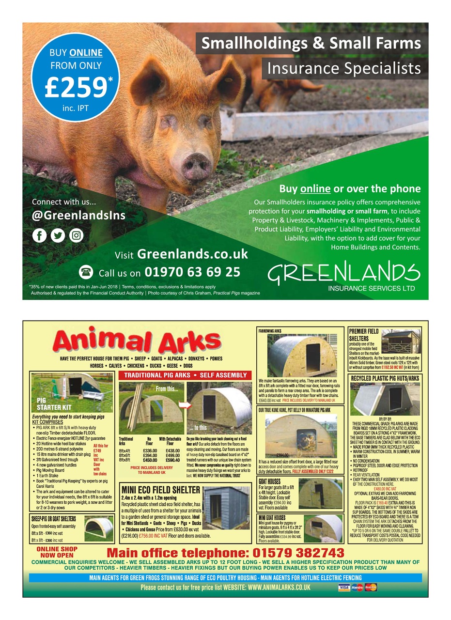 Practical Pigs Preview Pages