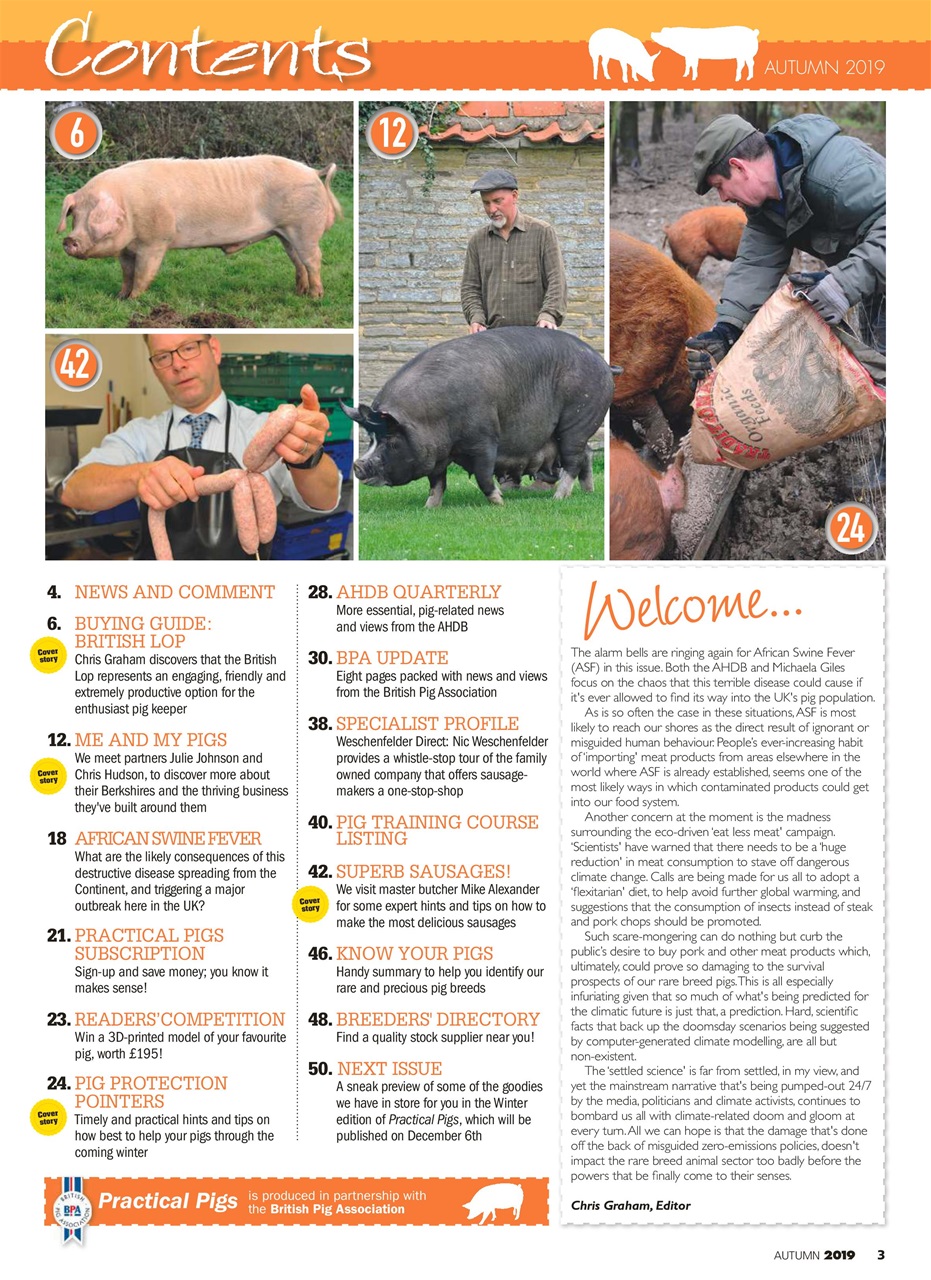 Practical Pigs Preview Pages