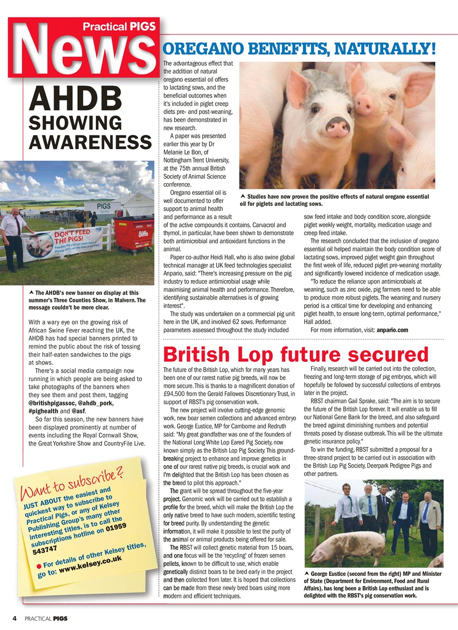 Practical Pigs Preview Pages