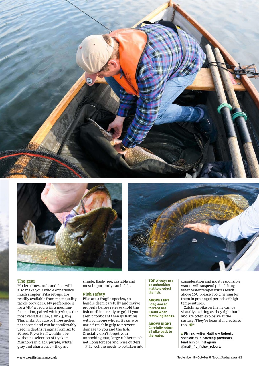Trout Fisherman Preview Pages