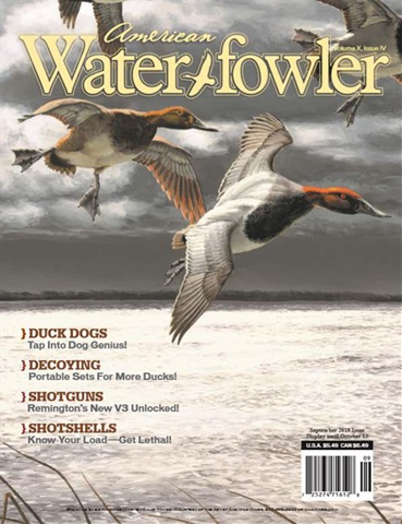 American Waterfowler issue Volume X Issue IV