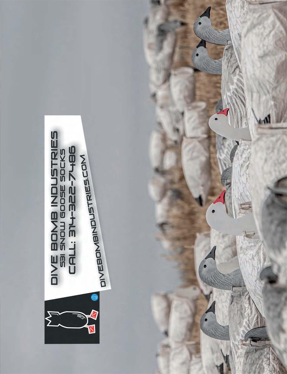 American Waterfowler Preview Pages