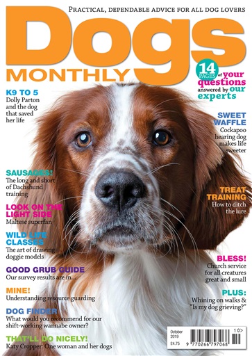 Dogs Monthly issue 