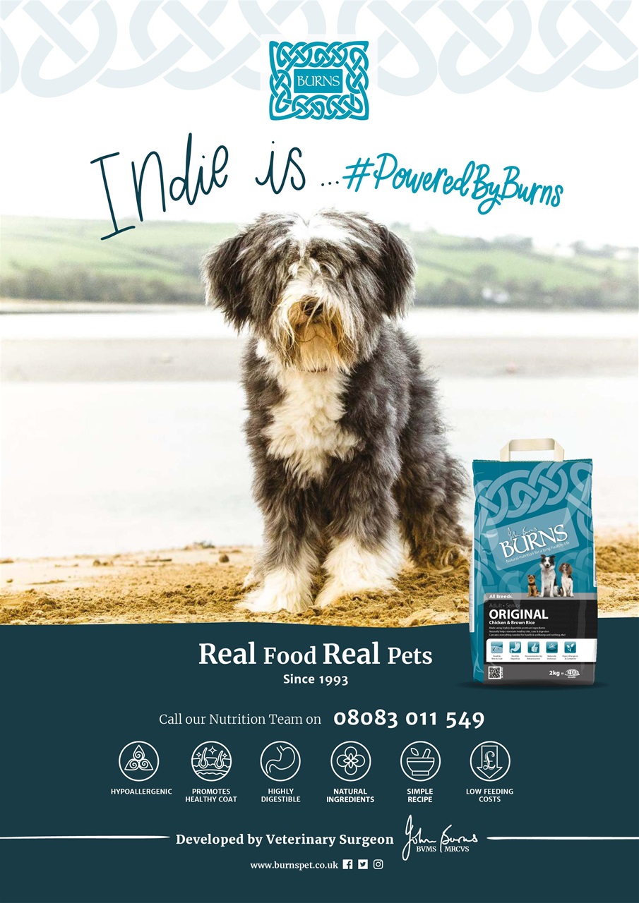 Dogs Monthly Preview Pages