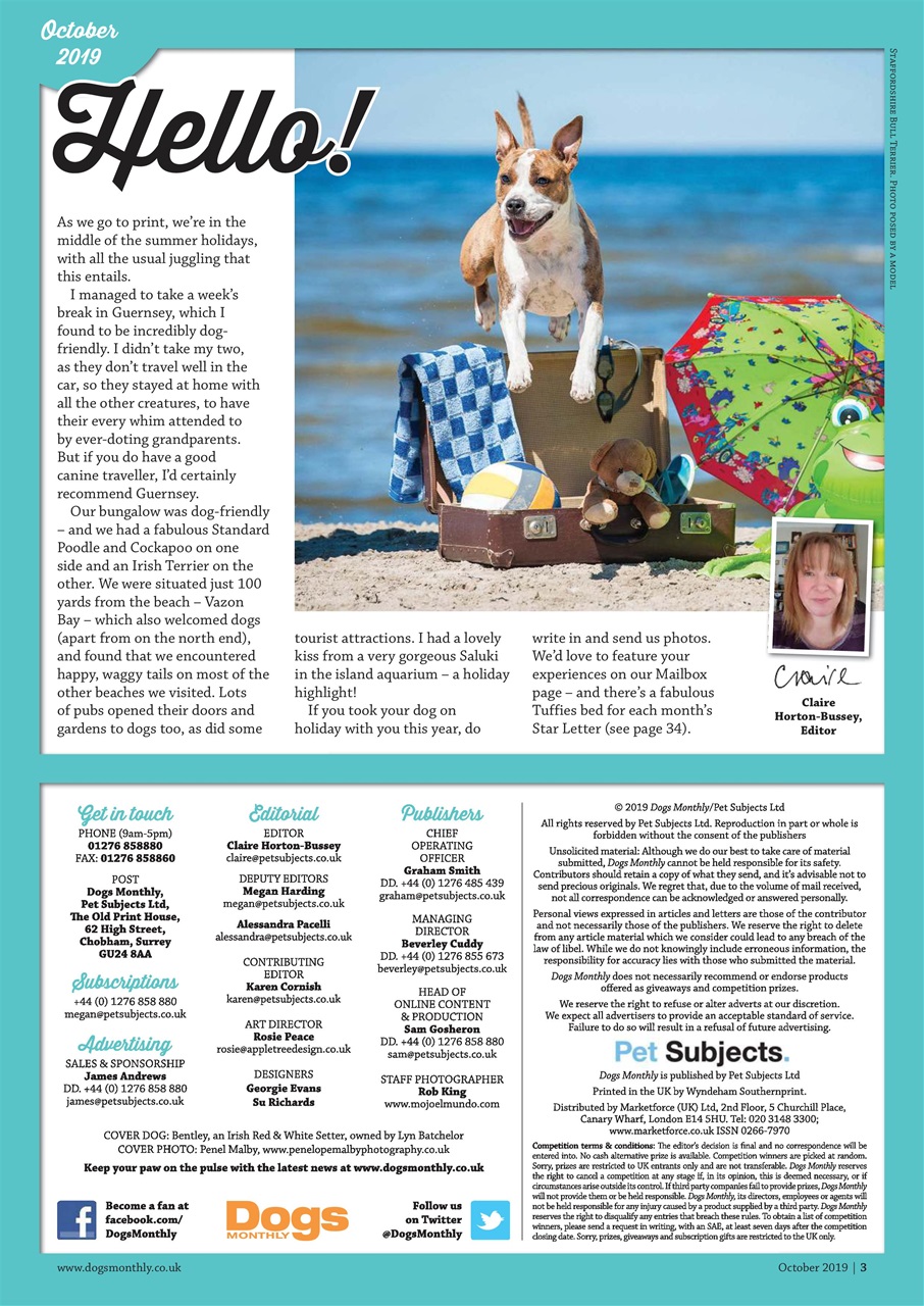 Dogs Monthly Preview Pages